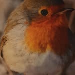 Janice Winter - @janice.winter.3158 - Instagram