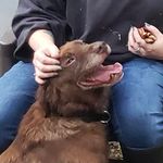 Janis Woods - @janis.woods.188 - Instagram