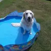 Janis Woods - @janis.woods - TikTok