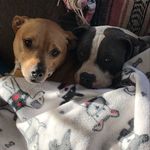 Janis Wright - @janisiswright - Instagram