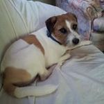 Janis Wright - @janis.wright.1232 - Instagram