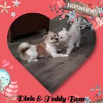 Janis Wright - Facebook
