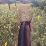 Janis Wright Honadel - @wrighthonadel - Instagram