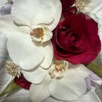 aki - @aki_janis_young - Instagram