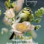Janis Young - @janis.young.520 - Instagram