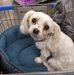 Janis Youngs - Facebook