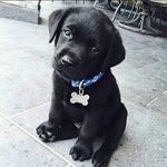 Janke Patel - @pateljanke - Instagram