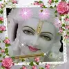 Janki Modi - @jankimodi42 - TikTok