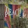 Jann Brown - @jann.brown - TikTok