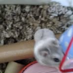 Jenna Brock - Facebook