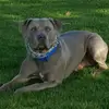 Janna King - @janna.king - TikTok