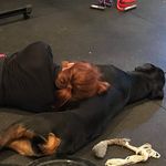 Janna Mae Lamb - @georgeanddottie - Instagram