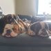 Janna Long - Facebook