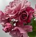 Janna Murphy - Facebook