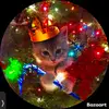 Jan Ramirez - @jan.ramirez72 - TikTok