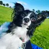 Jana Stephens - @janastephens2 - TikTok