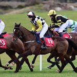 Janna 🐎 - @janna_walsh - Instagram