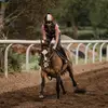 Janna Walsh - @jannawalsh1 - TikTok