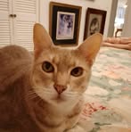 Jannie Cooper - Facebook