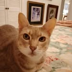 Jannie Cooper - @cooperjanet615 - Instagram