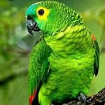 Jannie May - Facebook