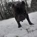 Janice Simpson - Facebook