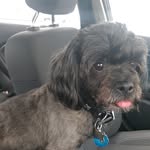 Jannie L. Hampton Taylor - @janniewinnfield - Instagram