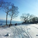 Jannis Lee - @jannisleeky - Instagram