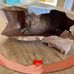 janis Smith - Facebook