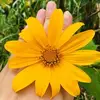 jannytran223 - @jannytran223 - TikTok