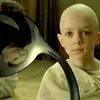 Janos Perczak - @janos.perczak - TikTok
