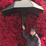 Jansen Lee - @jansenlee19 - Instagram