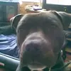 Lee Jansen - @leejansen5 - TikTok
