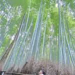 Jansen Lim - @jansen4953 - Instagram