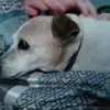 jansenyarbrough - @jansenyarbrough - TikTok