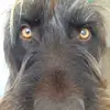 Janet Goodwin - @janetgoodwin - TikTok