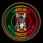 Jaquan Jackson - @prolificfrenchies.co - Instagram