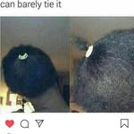 jaquesjones9 - @quesspam9 - Instagram