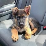 Smith_jaques - @smithjaques9 - Instagram