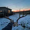Jarad Cornett - @jaradcornett1224 - TikTok