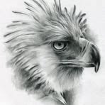 Jared Abel - Facebook