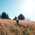 Jared Andersen - @j_andersendc - Instagram