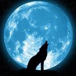 Jared Archibald - @archibaldjared - Instagram