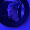 Jared Barnett168 - @jaredbarnett2 - TikTok