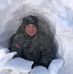 Jared D. Barnhart - Facebook