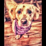 jared bartley - @jaredbartley_ - Instagram