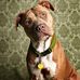 Jared Beall - Facebook