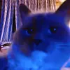 Jared Beaudry - @jaredbeaudry - TikTok