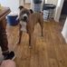 Jarrad Biddell - Facebook