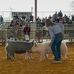 Jarrod Behrens - Facebook